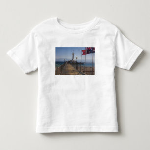 Underwater Marine Park, observation tower Toddler T-Shirt