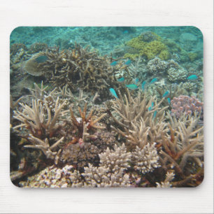 Underwater Mouse Mat