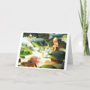 Underwater nativity holiday card