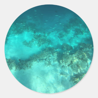 Underwater Nature  Classic Round Sticker