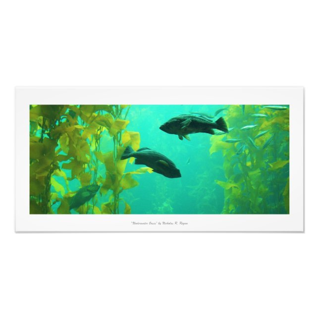 "Underwater Oasis" Nature Photo Print (Front)