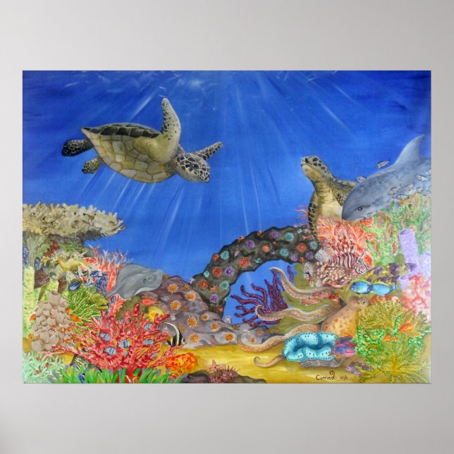 Underwater Paradise Poster (Front)
