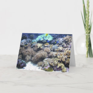 Underwater photography - colourful tropical fish card