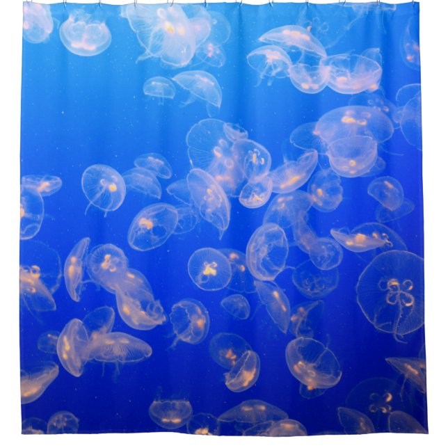 UNDERWATER PHOTOGRAPHY OF JELLYFISH SHOWER CURTAIN (Front)