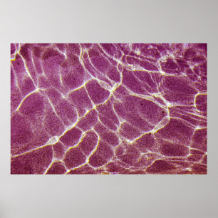 Underwater photography of sand poster