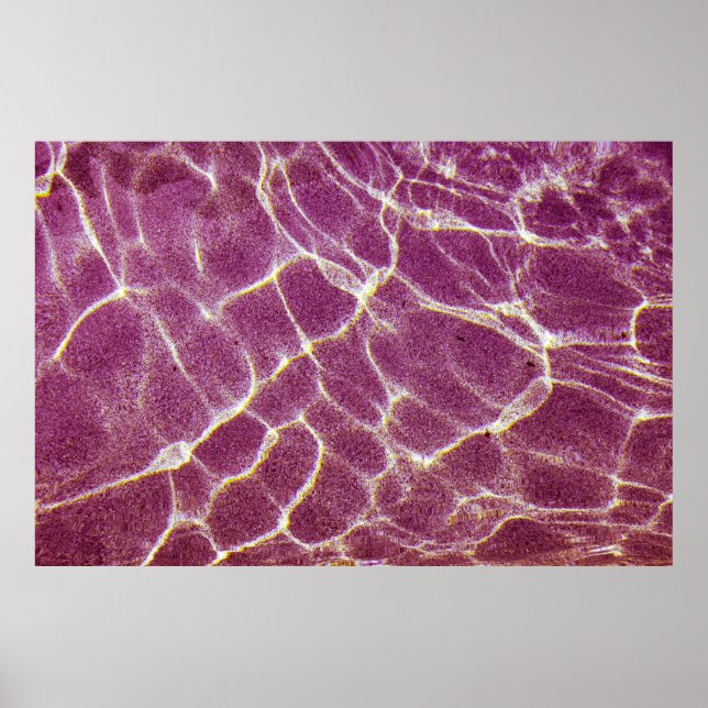 Underwater photography of sand poster (Front)