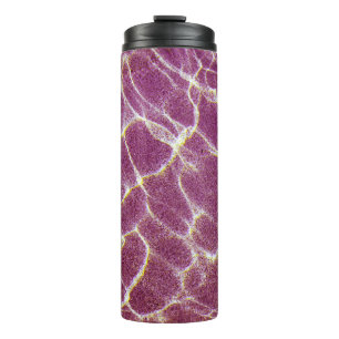 Underwater photography of sand thermal tumbler