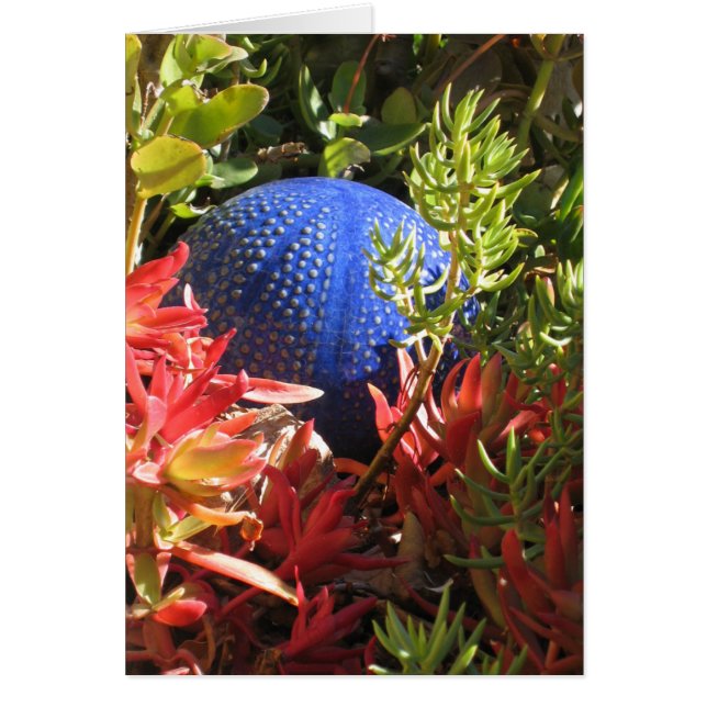 Underwater Plant Garden Blank Art Card (Front)