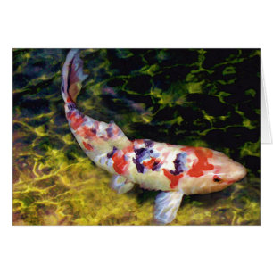Underwater Sanke Koi
