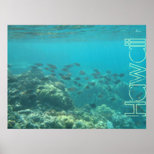 Underwater scene coral reef Hawaii poster