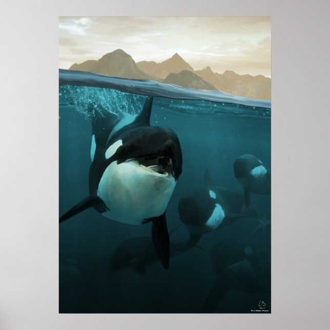 Underwater scene with orca family poster (Front)