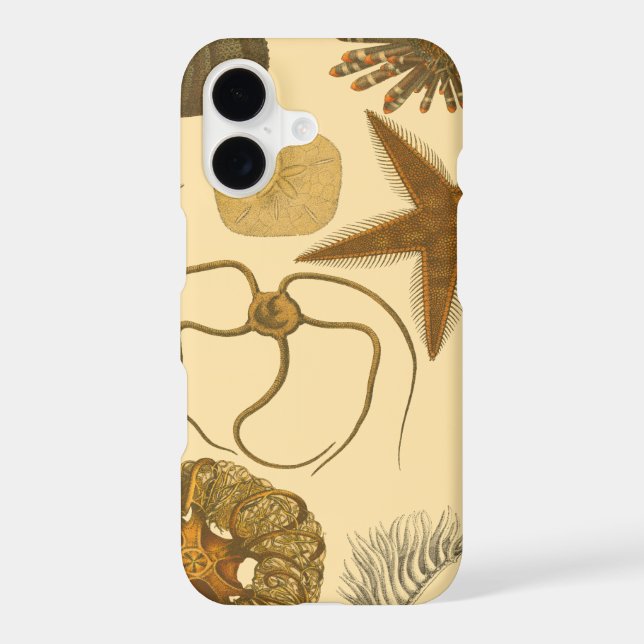 Underwater Sea Creatures (Back)