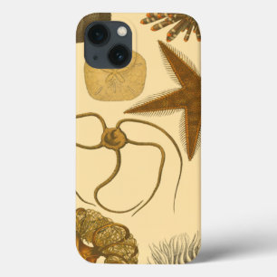 Underwater Sea Creatures iPhone 13 Case