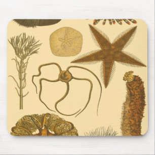 Underwater Sea Creatures Mouse Mat