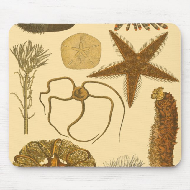 Underwater Sea Creatures Mouse Mat (Front)