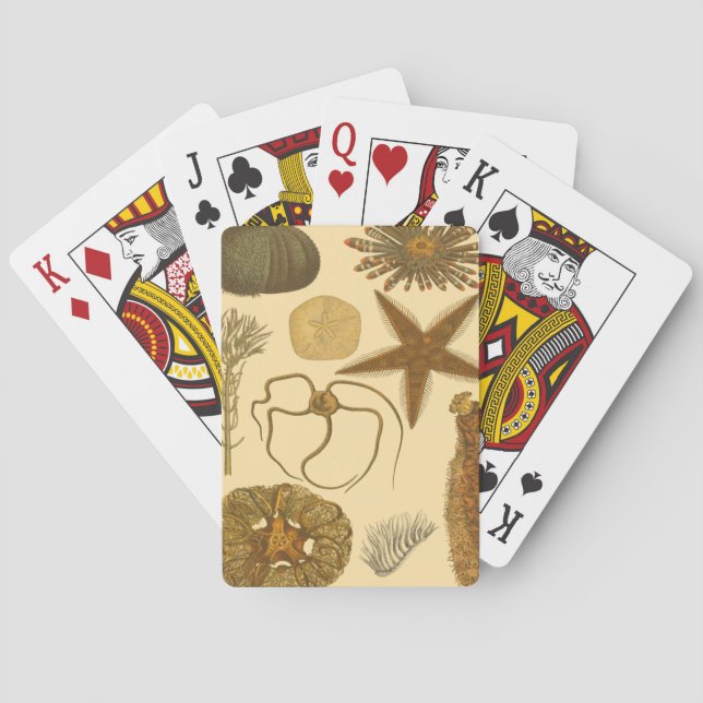 Underwater Sea Creatures Playing Cards (Back)