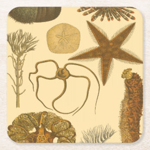 Underwater Sea Creatures Square Paper Coaster