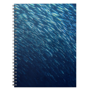 Underwater Sea Fish School Abstract Notebook