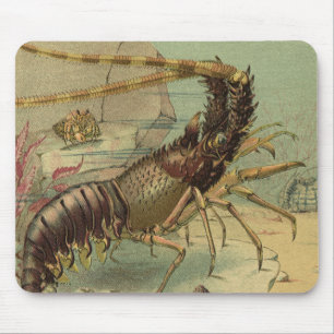 Underwater Sea Life Shrimp, Vintage Ocean Animals Mouse Mat