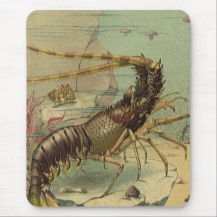 Underwater Sea Life Shrimp, Vintage Ocean Animals Mouse Mat