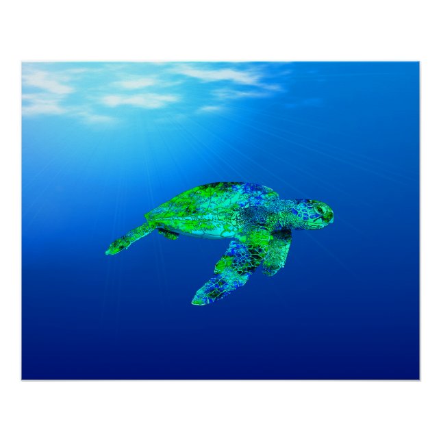 Underwater Sea Turtle Poster (Front)