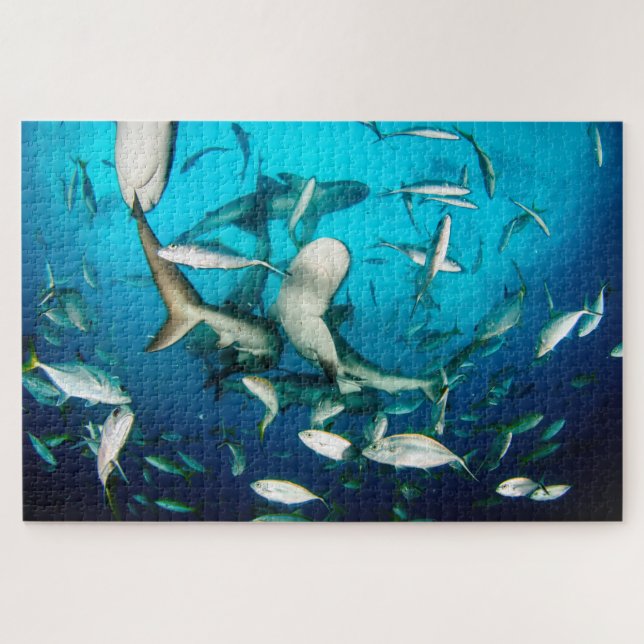 Underwater Shark Frenzy 20"x30" Jigsaw Puzzle (Horizontal)