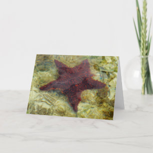 Underwater Starfish in the Bahamas Card