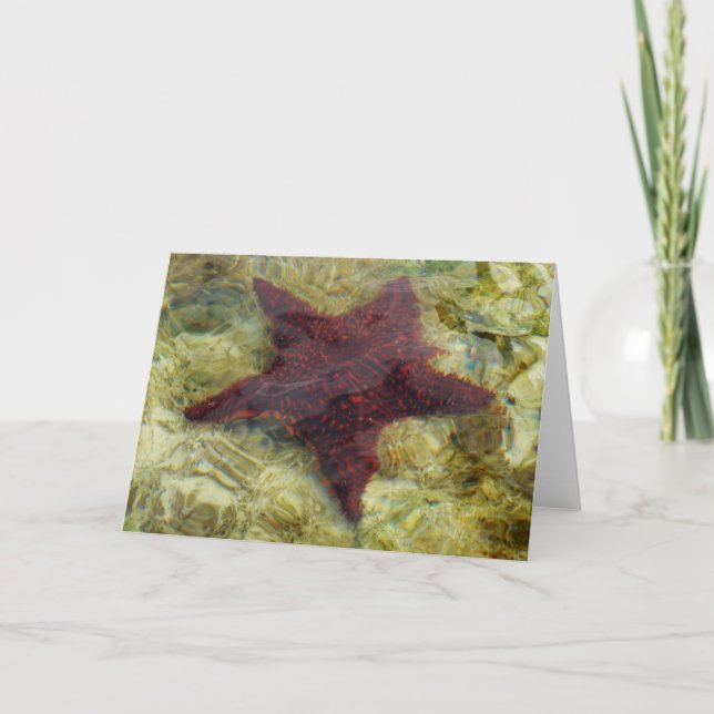 Underwater Starfish in the Bahamas Card (Front)