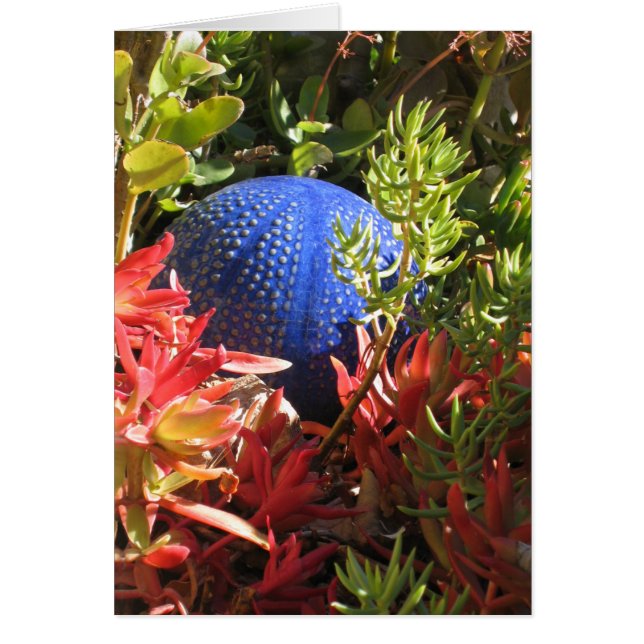 Underwater Succulent Plant Garden Art Cards (Front)