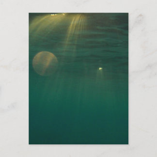 Underwater Sunset Postcard