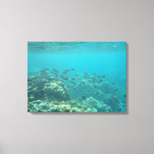 Underwater tropical fish scene canvas