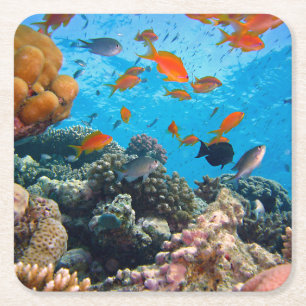 Underwater Tropical Fish Scene Square Paper Coaster