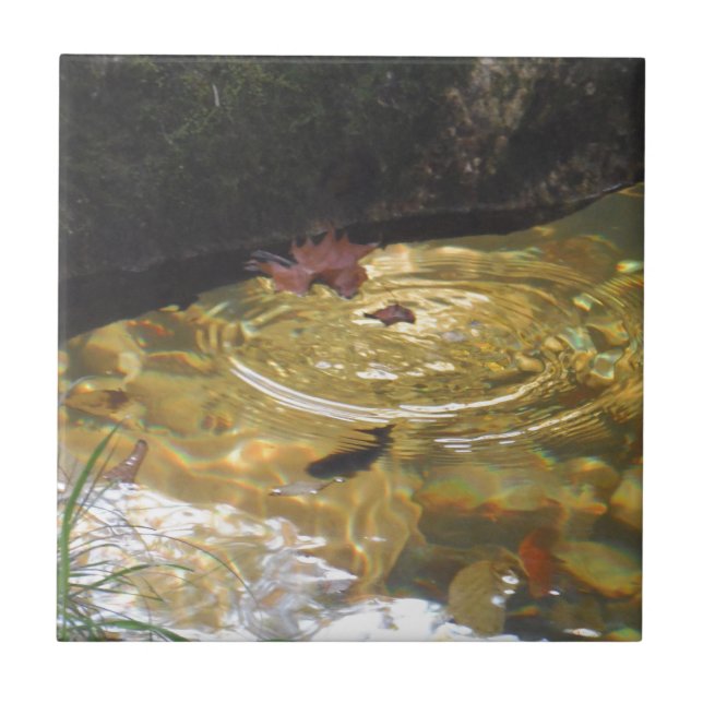 Underwater Trout feeding in Smoky Mountain creek Tile (Front)