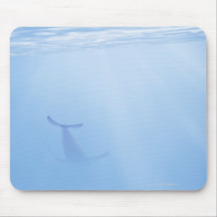 Underwater view of whale mouse mat