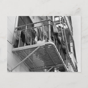 Underwear Out To Dry Humour Black and White Photo Postcard