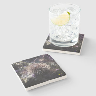 underwriter stone coaster