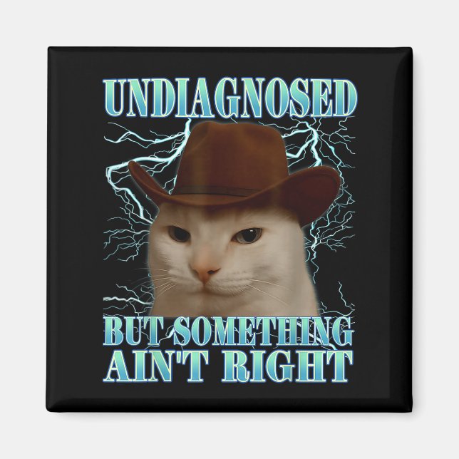 Undiagnosed But Soing Ain't Right Funny Silly Cat  Magnet (Front)