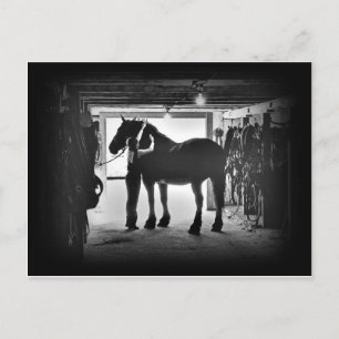 Undressing Postcard