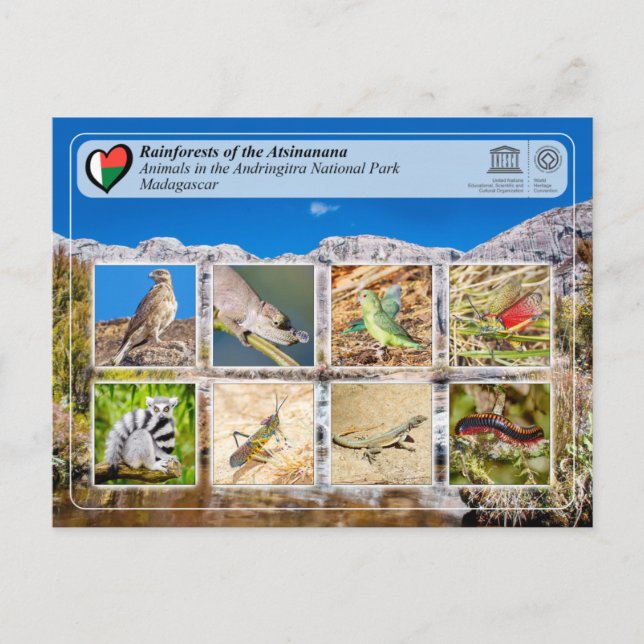 UNESCO - Atsinanana - Andringitra National Park Po Postcard (Front)