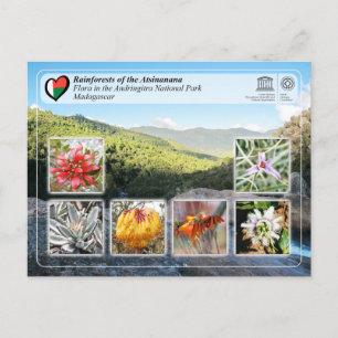 UNESCO - Atsinanana - Andringitra National Park Postcard