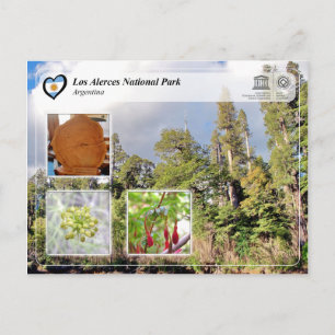 UNESCO - Los Alerces National Park Postcard