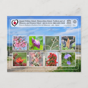 UNESCO - Northern part of Okinawa Island - 沖縄島北部 Postcard