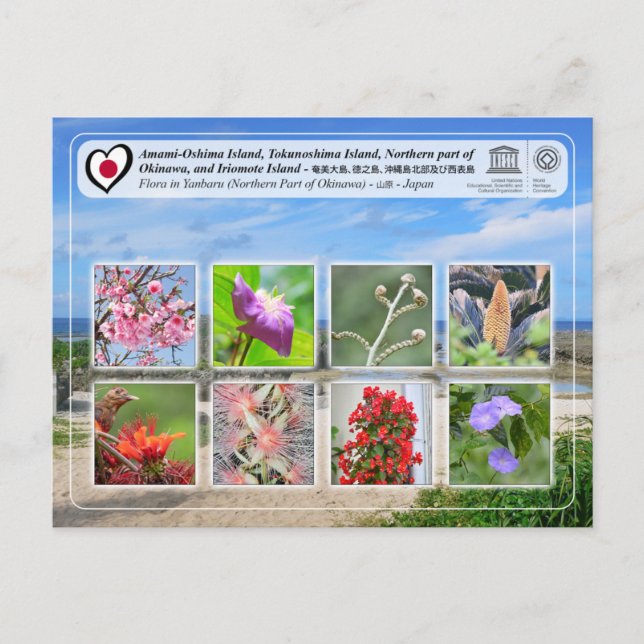 UNESCO - Northern part of Okinawa Island - 沖縄島北部 Postcard (Front)