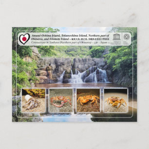 UNESCO - Northern part of Okinawa Island - 沖縄島北部 Postcard