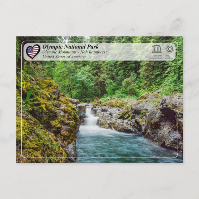 UNESCO - Olympic National Park - Hoh Rainforest Postcard (Front)