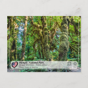 UNESCO - Olympic National Park - Hoh Rainforest Postcard