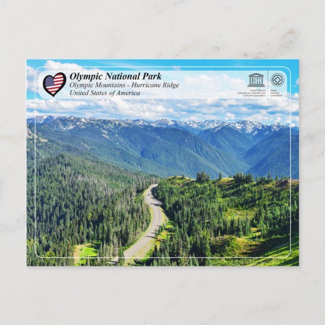 UNESCO - Olympic National Park - Hurricane Ridge Postcard (Front)