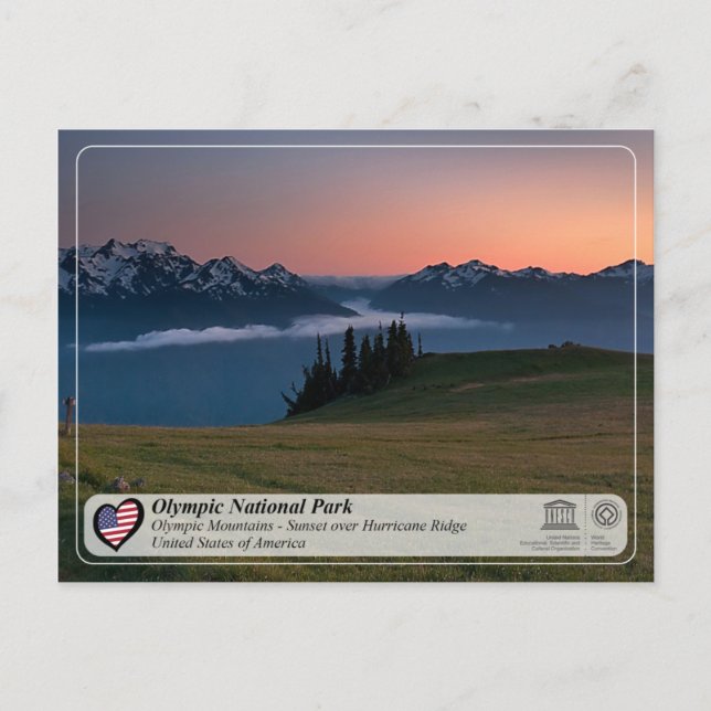 UNESCO - Olympic National Park - Hurricane Ridge Postcard (Front)