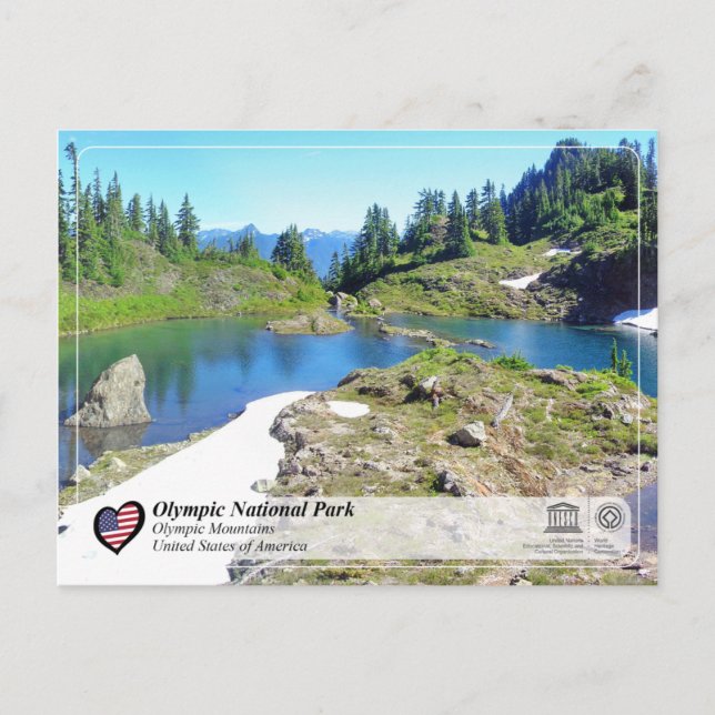 UNESCO - Olympic National Park - Olympic Mountains Postcard (Front)