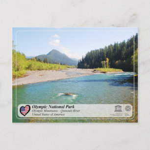 UNESCO - Olympic National Park - Quinault River Postcard